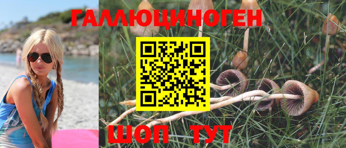 Псилоцибиновые грибы Magic Shrooms  Галлюциногенные грибы прущие грибы  Вход с VPN  Орёл 